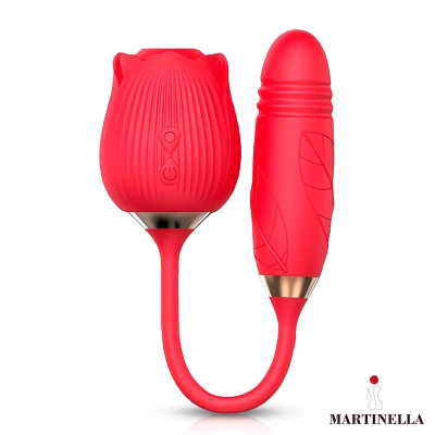 Airflow Rose and Thrusting Stimulator Egg USB