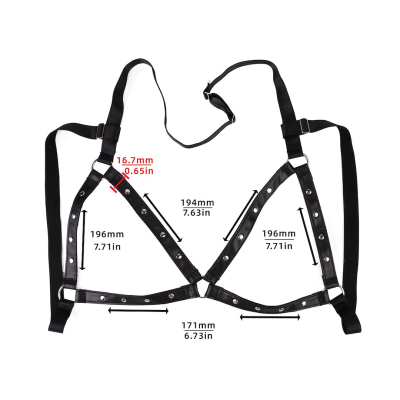 Kiotos BDSM Hexagon Nipple Clamps Bells & Leather Harness Kiotos BDSM Hexagon Nipple Clamps Bells & Leather Harness