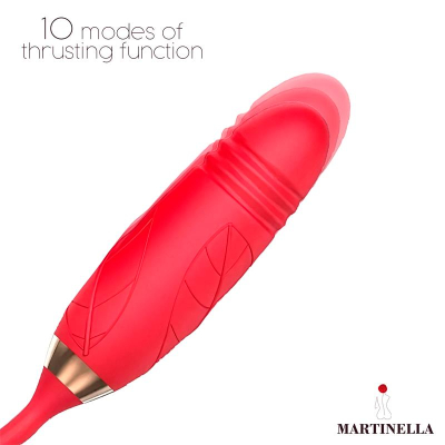 Airflow Rose and Thrusting Stimulator Egg USB