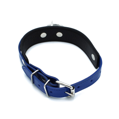 Kiotos Leather Black & Blue Leather Collar big O-Ring
