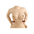 NIPPLE CLAMPS MOD. 3