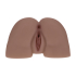 Bodyforms - Kaya Bloom - Dual Entry Vibrating Masturbator - 2,4 kg / 5.4 lbs - Brown Bodyforms - Kaya Bloom - Dual Entry Vibrating Masturbator - 2,4 kg / 5.4 lbs - Brown