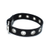 Kiotos Leather Black Leather Slim Collar with Multi-Metal Eyelets Kiotos Leather Black Leather Slim Collar with Multi-Metal Eyelets