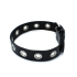 Kiotos Leather Black Leather Slim Collar with Multi-Metal Eyelets Kiotos Leather Black Leather Slim Collar with Multi-Metal Eyelets