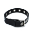 Kiotos Leather Black Leather Slim Collar with Multi-Metal Eyelets Kiotos Leather Black Leather Slim Collar with Multi-Metal Eyelets