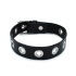 Kiotos Leather Black Leather Slim Collar with Multi-Metal Eyelets Kiotos Leather Black Leather Slim Collar with Multi-Metal Eyelets