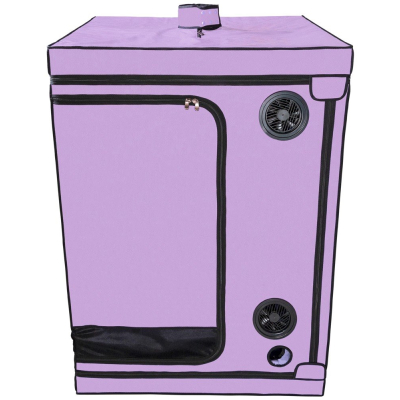 Scandale - Purple