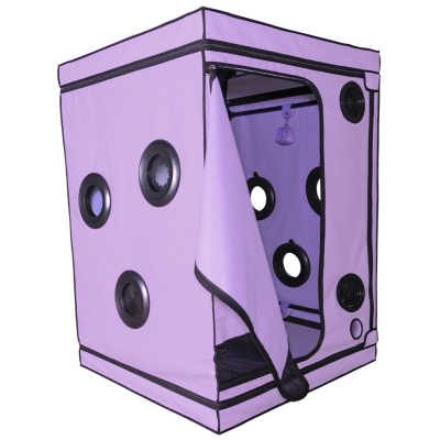 Scandale - Purple