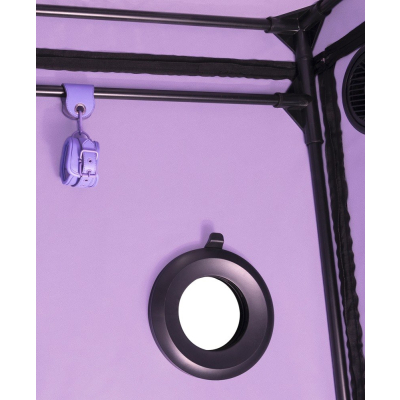 Scandale - Purple