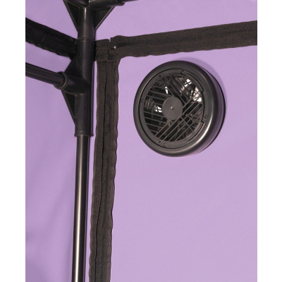 Scandale - Purple