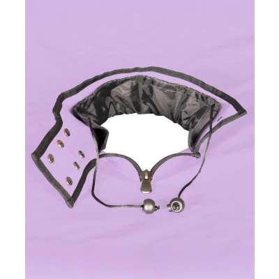Scandale - Purple