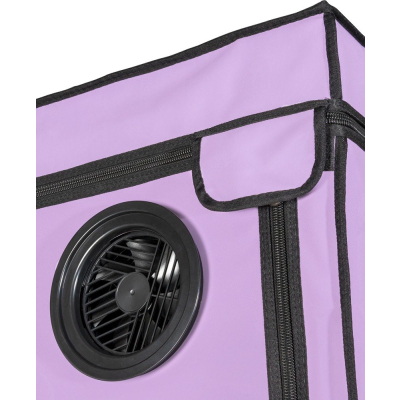 Scandale - Purple