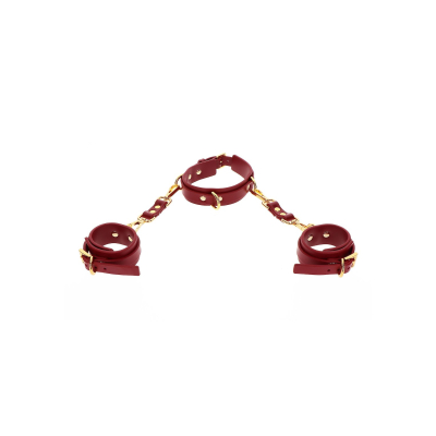 D-Ring Collar and Wrist Cuffs
