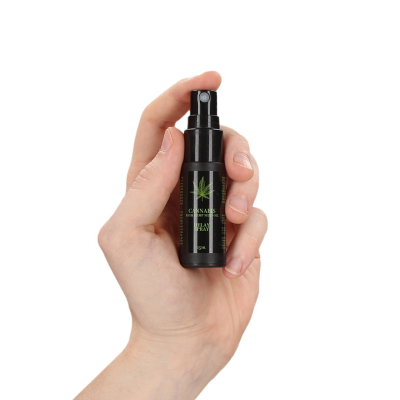 Cannabis With Hemp Seed Oil Delay Spray - 0.5 fl oz / 15 ml