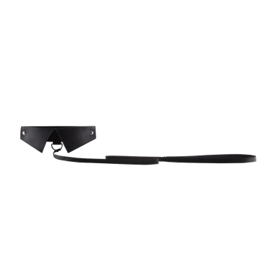 Exclusive Collar Leash