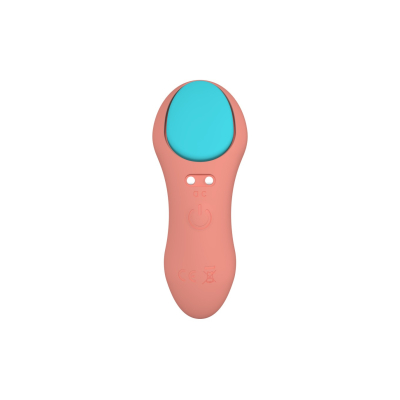 PANTY VIBRATOR WITH CORAL USB CONTROL