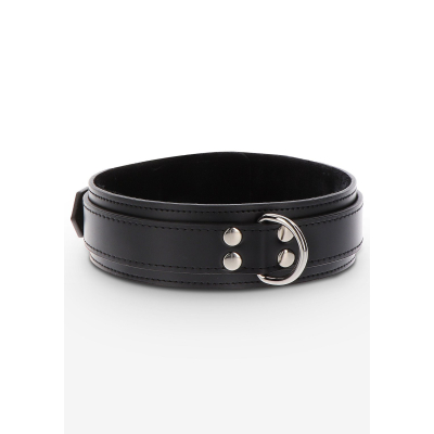 Heavy D-Ring Collar