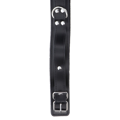 Heavy D-Ring Collar