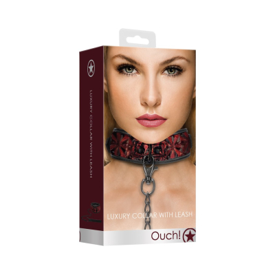 Collar with Leash