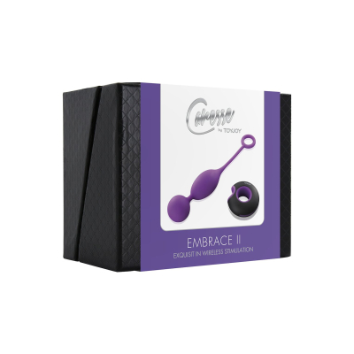 Embrace II Remote control egg