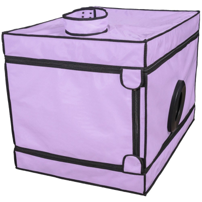La Niche - Purple