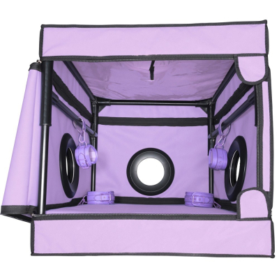 La Niche - Purple
