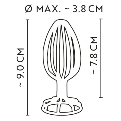 Anos Metal Cage Butt Plug 3.8