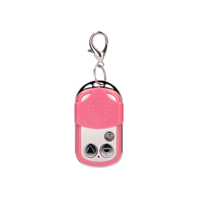 Vibrating Bullet with Remote Control