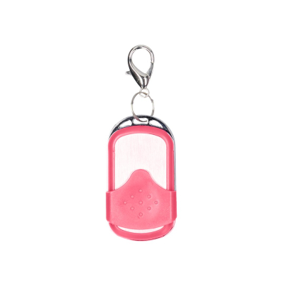 Vibrating Bullet with Remote Control