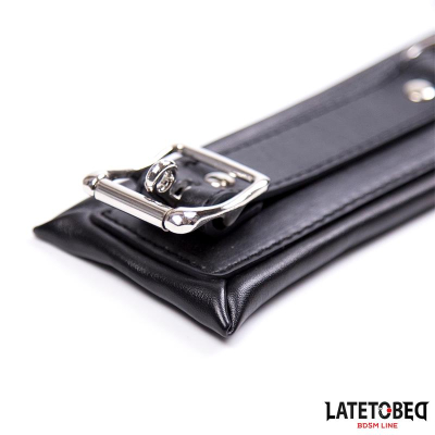 Padded Collar with Leash