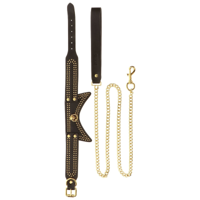 Studded Collar and Leash