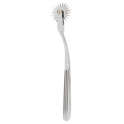 Single Pinwheel Silver