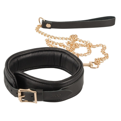 Leather Collar and Leash gold