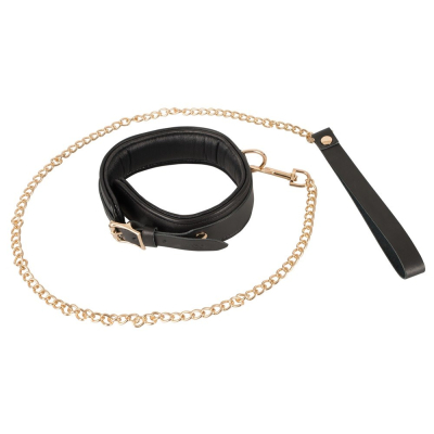 Leather Collar and Leash gold