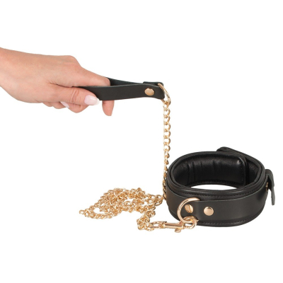 Leather Collar and Leash gold