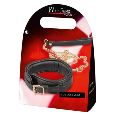 Leather Collar and Leash gold