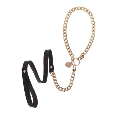 Statement Collar