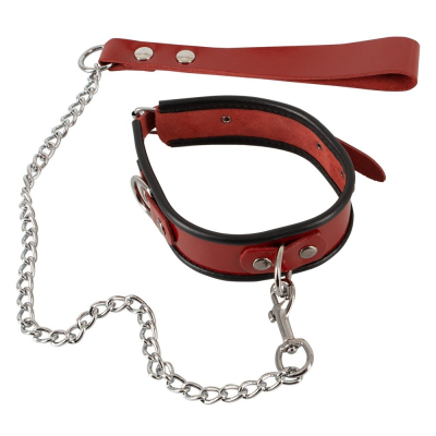 Leather Collar and Leash