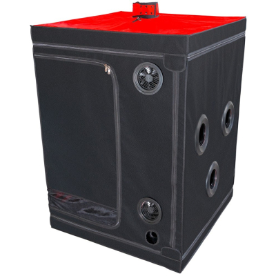 Scandale - Black & Red