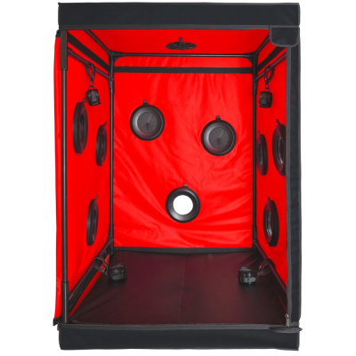Scandale - Black & Red