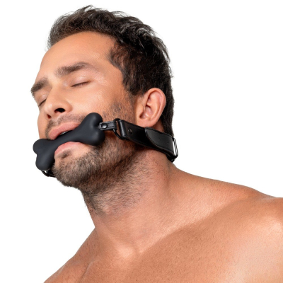 Bad Kitty Gag Dog Bone