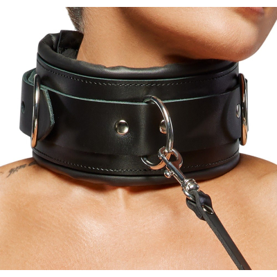 Leather Collar & Leash