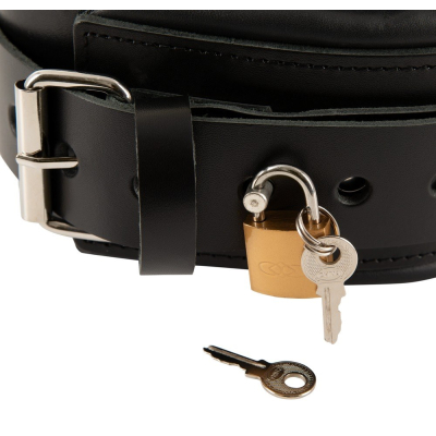 Leather Collar & Leash