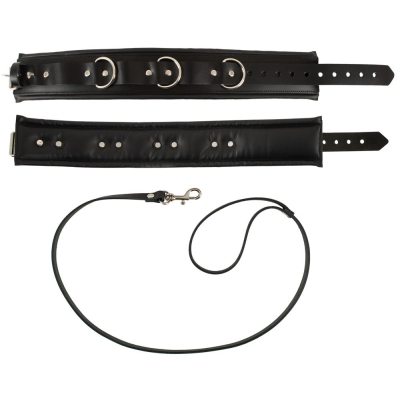 Leather Collar & Leash