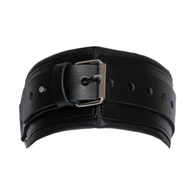 Leather Collar & Leash