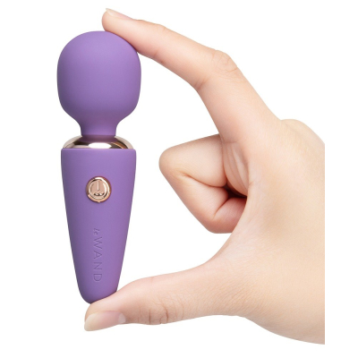 le Wand Mini Microwand Rose Vi