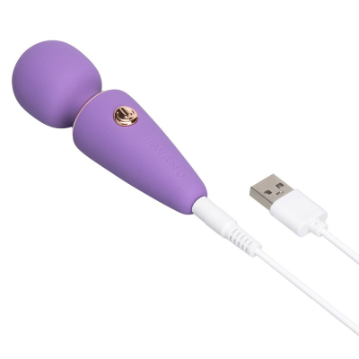 le Wand Mini Microwand Rose Vi