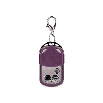 Vibrating Egg with 10 Speeds and Remote Control - L - Purple