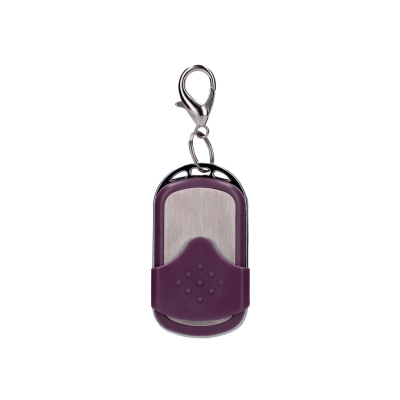 Vibrating Egg with 10 Speeds and Remote Control - L - Purple
