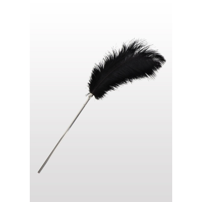 Feather Tickler